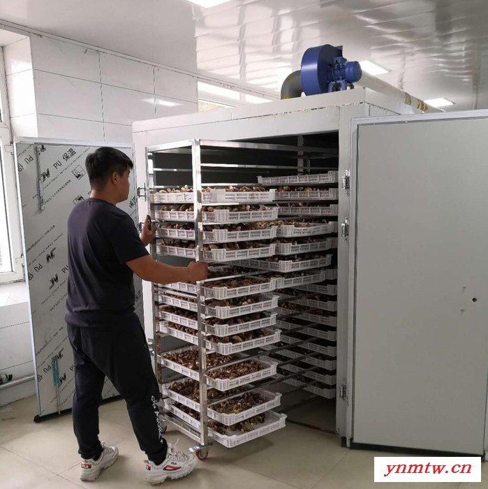 厂家供应型煤链条式烘干机 多层网带式烘干设备 链板式煤炭烘干机图7