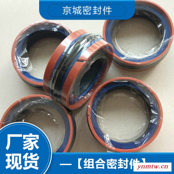 液压支架组合密封件 液压支架组合密封件价格 液压支架组合密封件厂家 量大从优图2