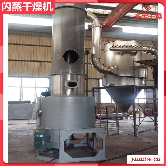 4型闪蒸干燥机 杀虫剂快速烘干机 旋流闪蒸干燥设备图8