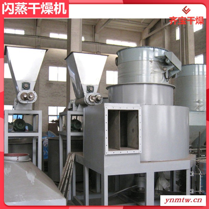 4型闪蒸干燥机 杀虫剂快速烘干机 旋流闪蒸干燥设备图7