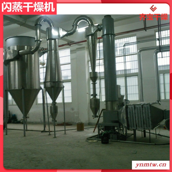 4型闪蒸干燥机 杀虫剂快速烘干机 旋流闪蒸干燥设备图5