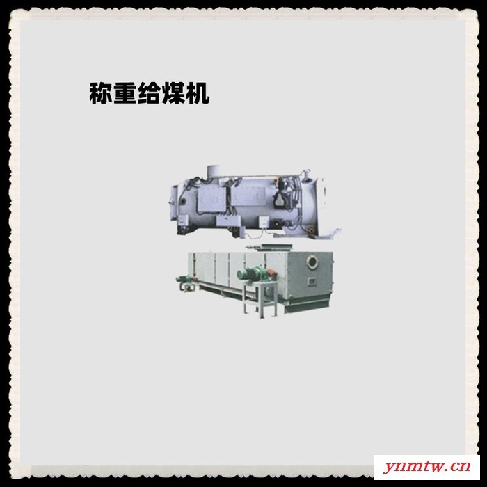 给煤机 称重给煤机 皮带给煤机 定量给煤机 厂家直供 批发销售 称重给煤机图2