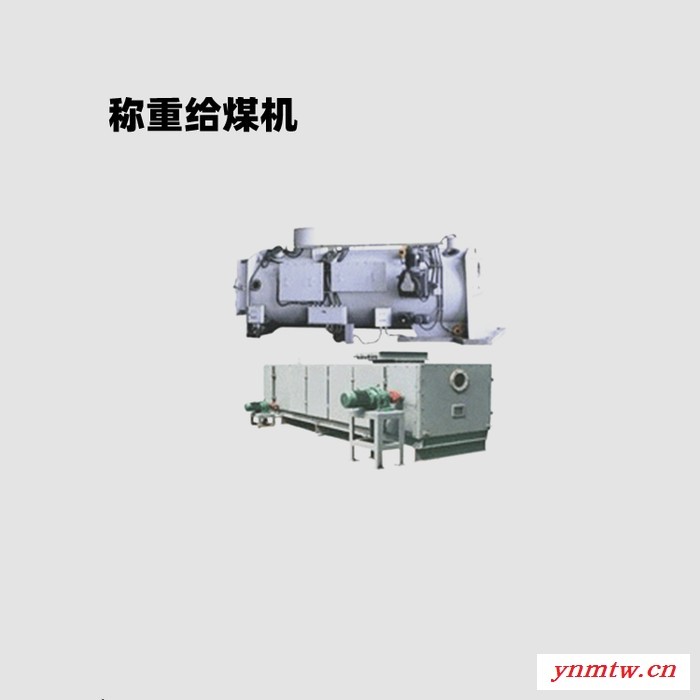 给煤机 称重给煤机 皮带给煤机 定量给煤机 厂家直供 批发销售 称重给煤机图1