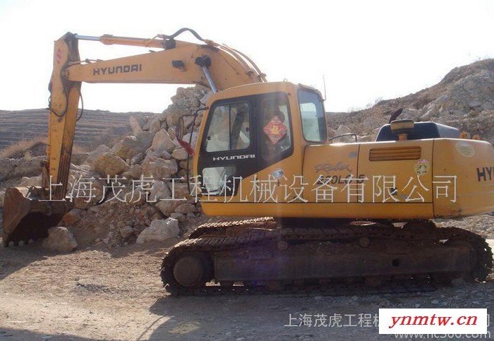 转让挖掘机,现代挖掘机,进口挖掘机图3