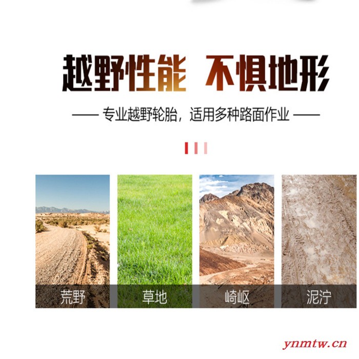 杭州1-3.8吨X系列叉车 惠州叉车 大金刚叉车燃油叉车内燃叉车智能叉车图4