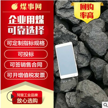内蒙古一精煤环保煤高挥发链条蒸汽锅炉取暖用煤38块49块中块图2