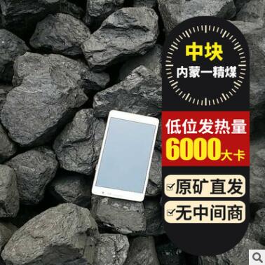 内蒙鄂尔多斯一精煤 原矿直发低位发热6000煤 蒸汽锅炉13籽图1