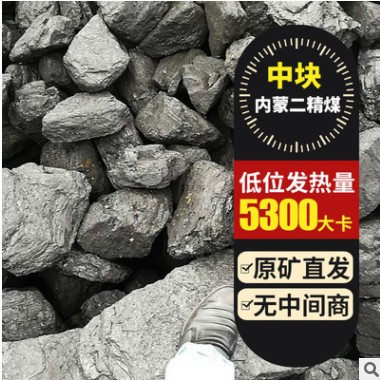 内蒙东胜煤中块低发热量4800蒸汽锅炉 民用取暖 烘干 养殖等图3