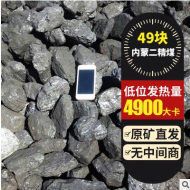 内蒙东胜煤中块低发热量4800蒸汽锅炉 民用取暖 烘干 养殖等图2