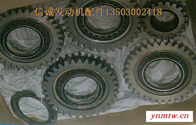 神钢挖掘机配件 齿轮  挖掘机配件现货   挖掘机齿轮配件图2