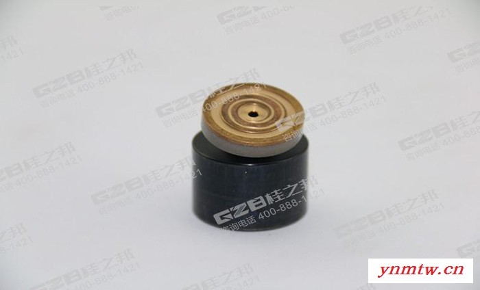 三一挖掘机配件三一挖掘机柱塞柱塞  60091793/60091702CCJ图5