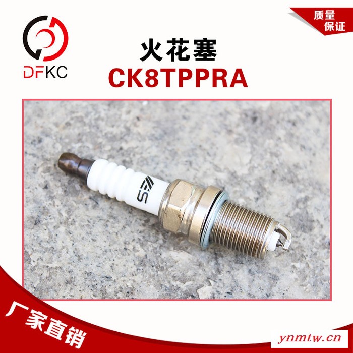 火花塞CK8TPPRA点火系统适用于锡柴天然气发动机客车卡车公交车图5