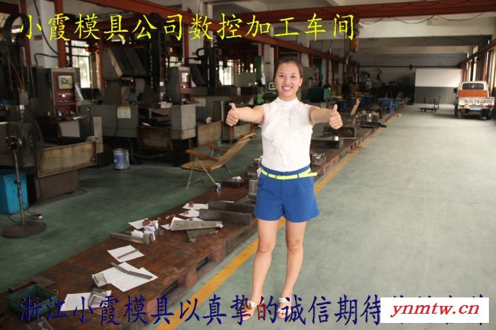 塑料模具 日本模具厂 比亚迪e6车长铃皮卡车保险杠主机厂模具 汽车仪表台主机厂模具 汽车主机厂模具 汽车保险杠主机厂模具图1