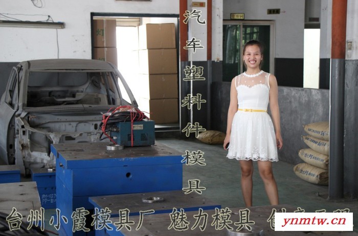 塑料模具 日本模具厂 比亚迪e6车长铃皮卡车保险杠主机厂模具 汽车仪表台主机厂模具 汽车主机厂模具 汽车保险杠主机厂模具图7