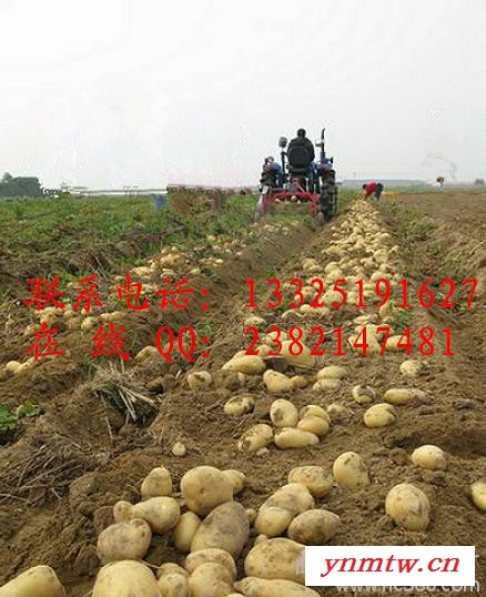 地瓜挖掘机 高效节能花生收获机 土豆收获机操作说明图3