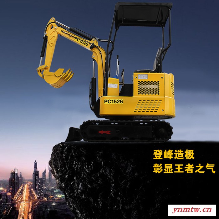 立派 农用小型挖掘机图2