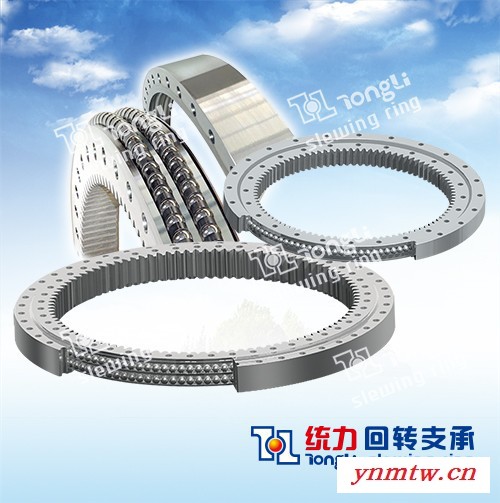 统力挖掘机回转支承卡特CAT345图2