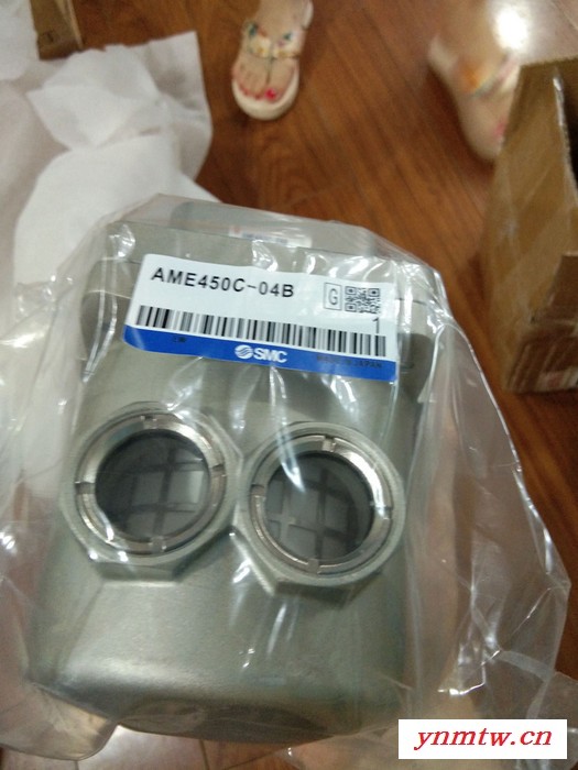G33-2-01    G43-2-01 SMC 标准压力表图2