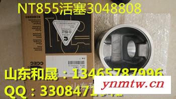 3048808活塞NT855推土机它俩是黄金搭档图2