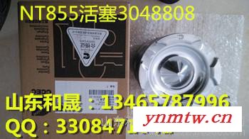 3048808活塞NT855推土机它俩是黄金搭档图1