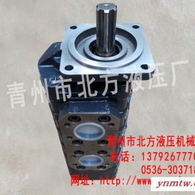 青州推土机三联泵|供应装载机液压泵