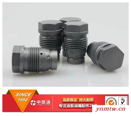 燃油共轨泄压阀1110010013挖掘机泄压阀1 110 010 013图2
