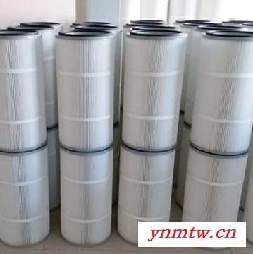 【炎辰】装载机除尘滤芯  抛丸机除尘滤芯 吊装式除尘滤筒图2