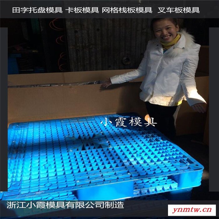 ＰET叉车PP地台板模具叉车塑料平板模具叉车托板模具叉车站板模具叉车PP平板模具厂家图1