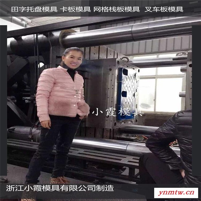 PET模具叉车PE地板模具叉车注塑栈板模具叉车PE地台板模具叉车塑胶栈板模具叉车注塑地板模具制作图6