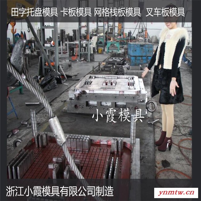 PET模具叉车PE地板模具叉车注塑栈板模具叉车PE地台板模具叉车塑胶栈板模具叉车注塑地板模具制作图8