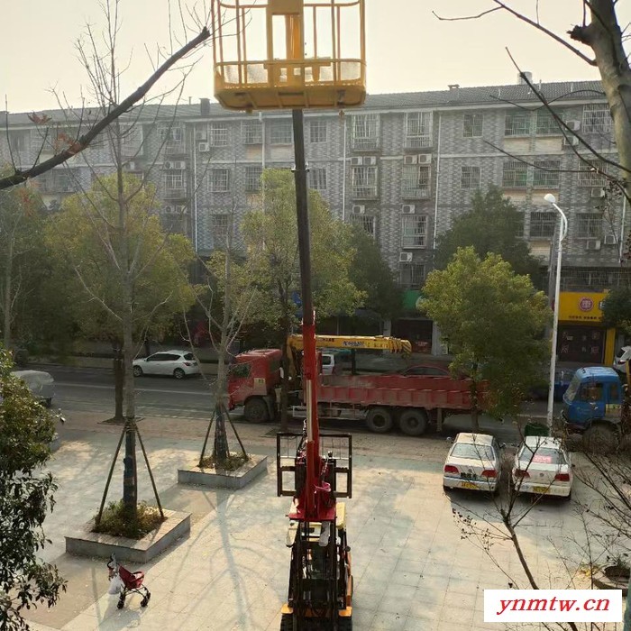 叉车加装液压伸缩吊臂 叉车飞臂吊 叉车臂图片图8