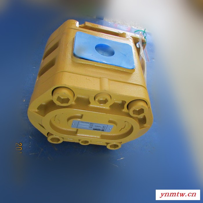 锐驰专业供应小型挖掘机用液压齿轮泵 工业软管泵 不锈钢单螺杆泵服务完善图4