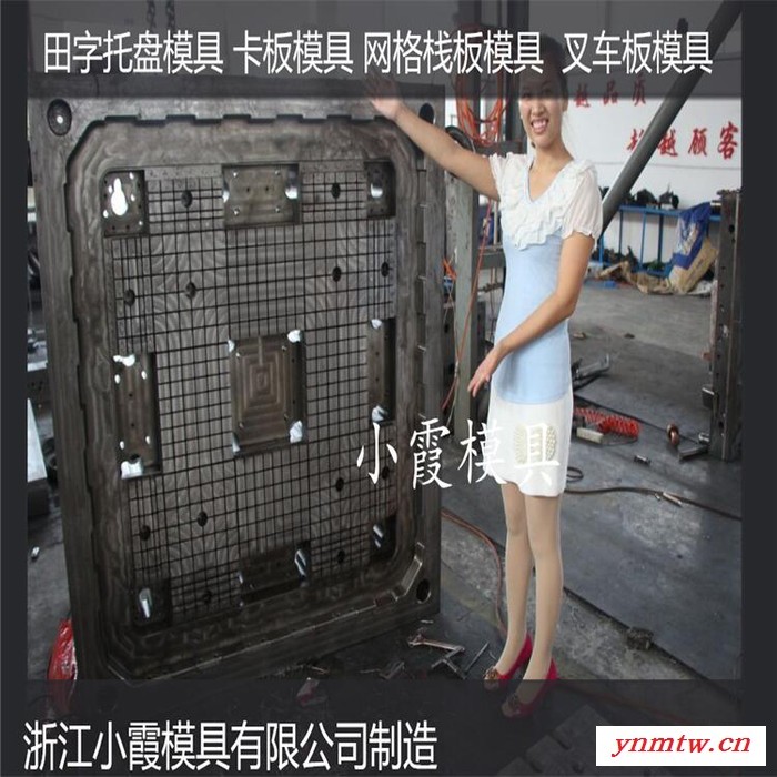 ＰET模具厂家叉车注塑托板模具叉车PE地板模具叉车PP托板模具叉车塑料站板模具叉车栈板模具供应商图4