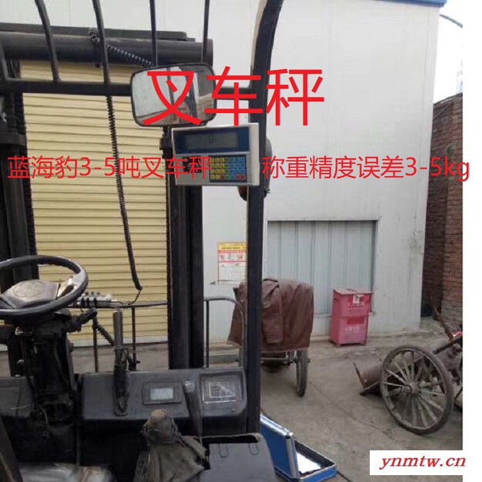 蓝海豹xk3169叉车秤 叉车电子秤厂家价格 叉车秤精度图2