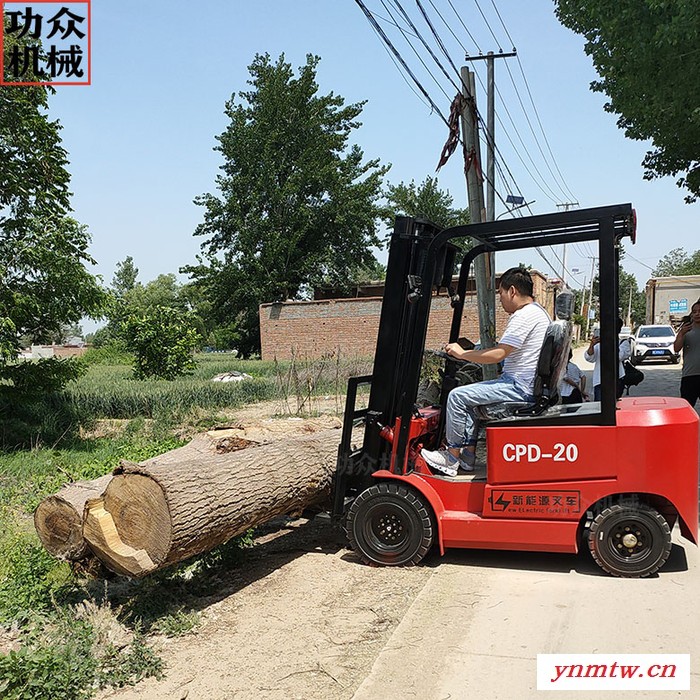 功众GZ20新能源电动叉车 座驾式电动叉车锻打货叉图4