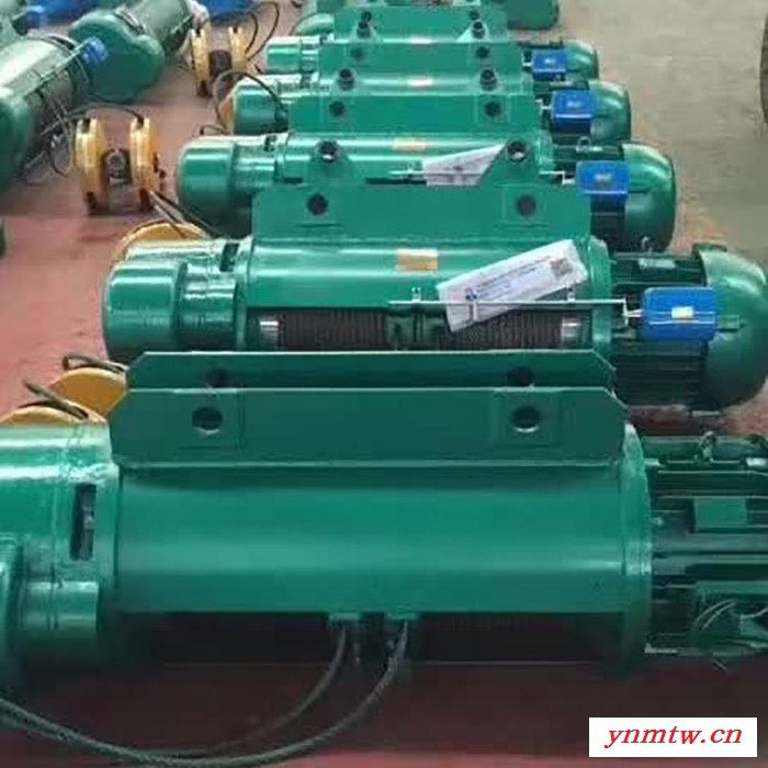 伟伟蓝林 电动葫芦 电动遥控葫芦 起重机葫芦**供应图3