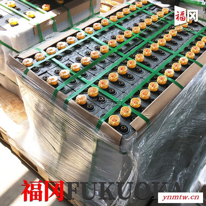 杭州叉车CPD25H叉车蓄电池 48V630Ah叉车蓄电池9PZS630 杭叉2.5吨叉车电池组图4