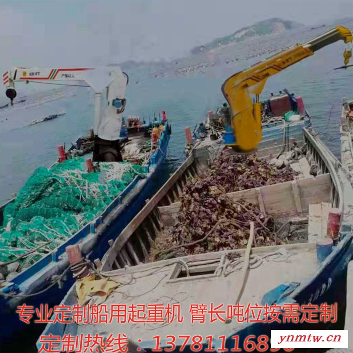 盐城船用吊机 通州市船用起重机价位 连云港码头船吊 船舶安装起重机价格  港口码头船用吊  滨海5吨船吊 海安船用吊机图4
