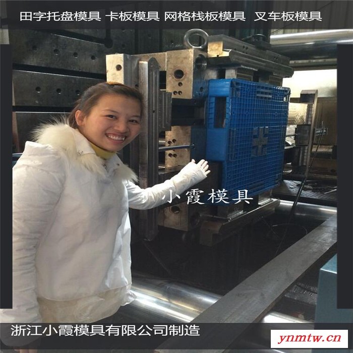 专做PET模具叉车地台板模具叉车地板模具叉车PP卡板模具叉车塑料地台板模具叉车地板模具报价图6