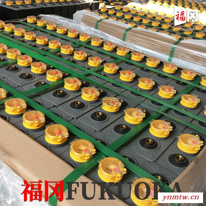 杭州叉车1.2吨前移式叉车蓄电池 叉车蓄电池24-4DB400 48V400Ah 杭叉叉车CQD12H电瓶图4