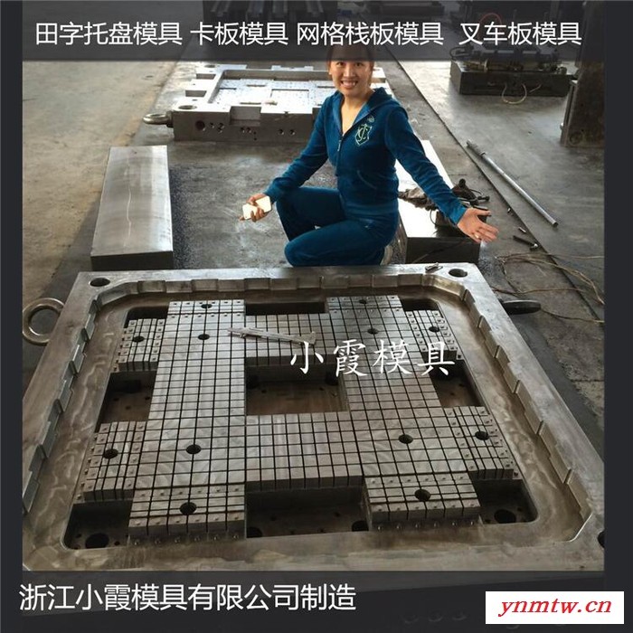 专业做ＰET模具叉车地板模具叉车PP地台板模具叉车塑料地板模具叉车地板模具叉车地台板模具价格图2