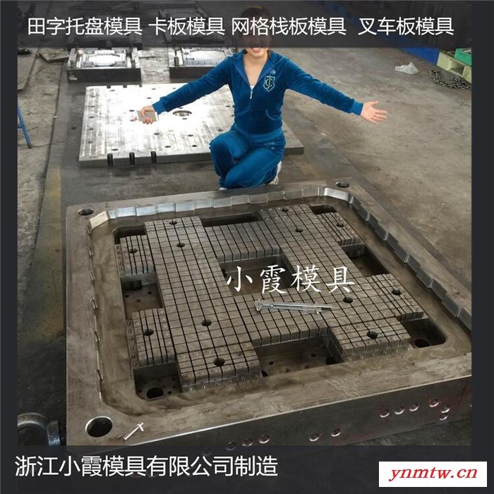 ＰET模具设计制造叉车地板模具叉车注塑地台板模具叉车PE卡板模具叉车注塑平板模具叉车PP站板模具厂商图4