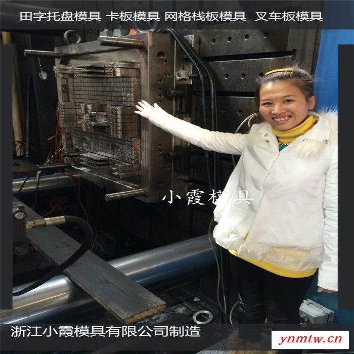 ＰET模具设计制造叉车注塑地台板模具叉车PE站板模具叉车塑胶地台板模具叉车注塑地板模具叉车PE栈板模具商家图8