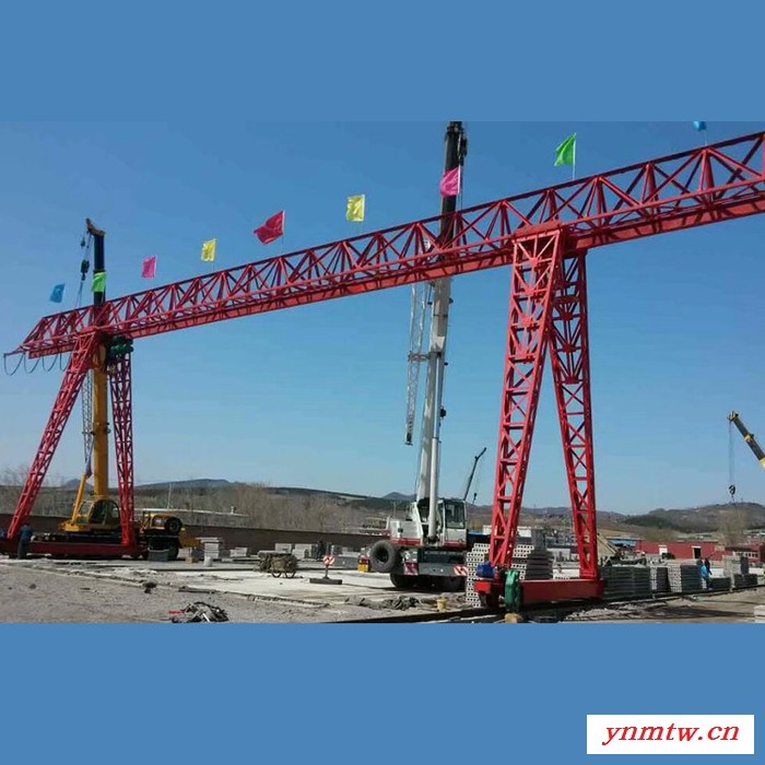 电动龙门吊 现货出售 可加工定制 运行平稳 起重量大 门式起重机图7
