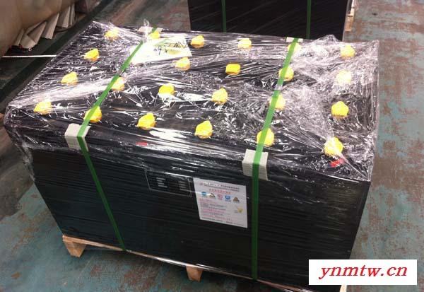 **东海2吨电动叉车电瓶 杭叉CPD20车型配电池组7VBS630  叉车蓄电池 东海叉车电瓶图2