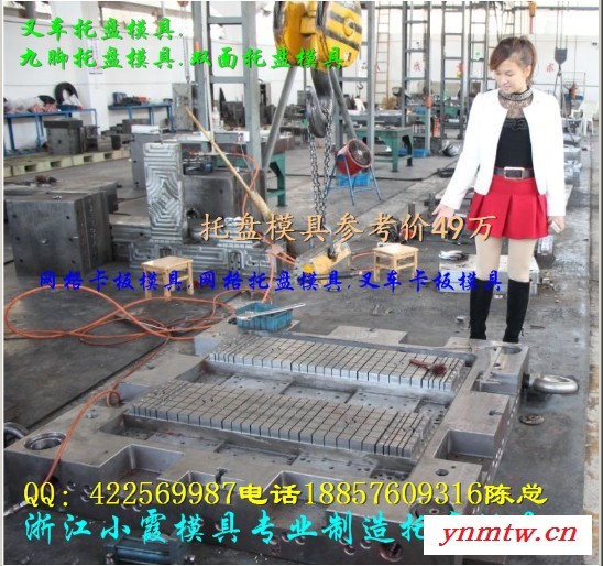 台州做注射叉车川字卡板模具生产图3