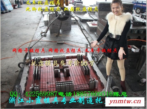 新上市注射叉车双面卡板模具开模图6