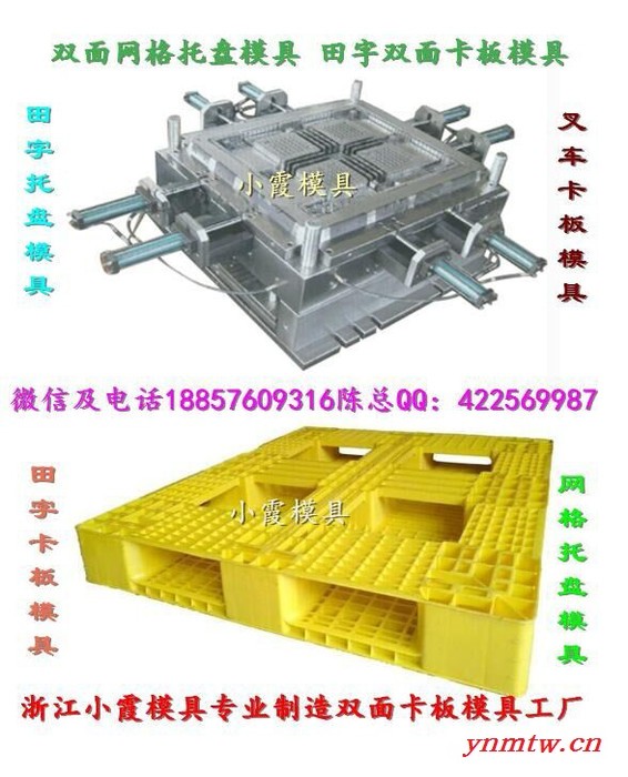 新上市注射叉车双面卡板模具开模