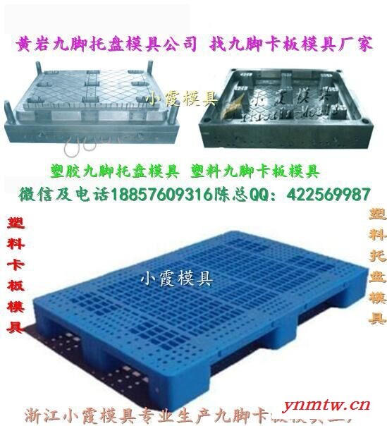 新上市注射叉车双面卡板模具开模图2