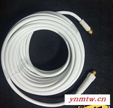 SYWV75-5视频监控线图2